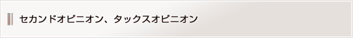 セカンドオピニオン、タックスオピニオン